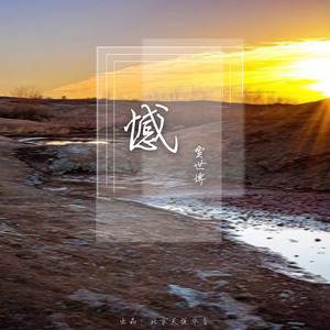 蓝手套哥训猴原版视频完整版
