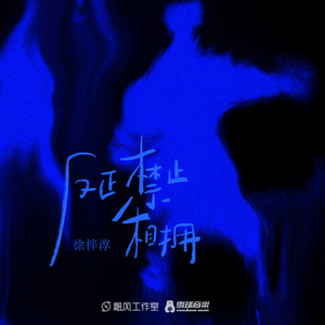 蓝手套哥训猴原版视频完整版
