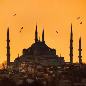 蓝手套哥训猴原版视频完整版
