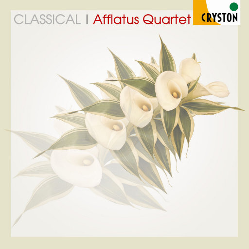 蓝手套哥训猴原版视频完整版
